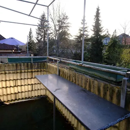 Duerr * Pforzheim